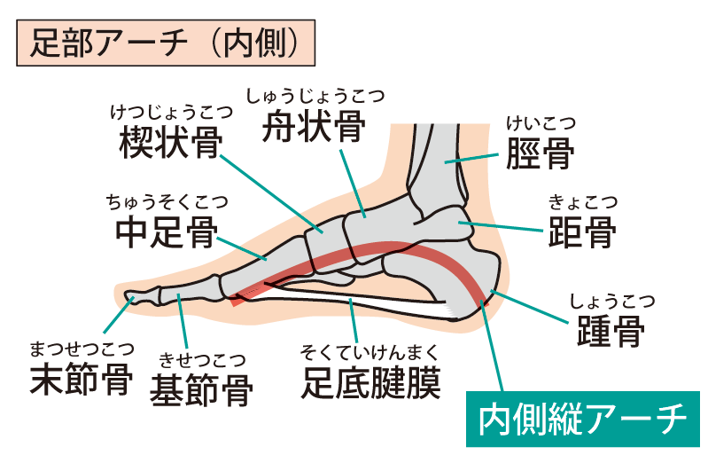 偏平足